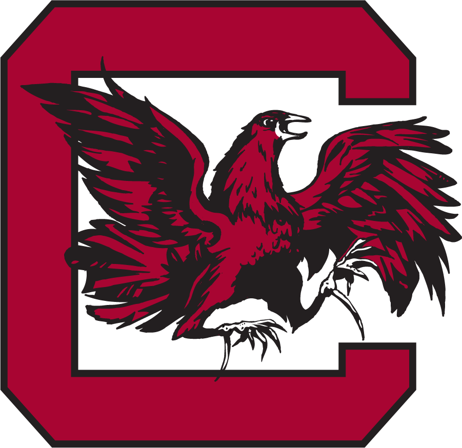 South Carolina Gamecocks 1961-1966 Alternate Logo diy DTF decal sticker